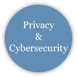 Privacy and Cybersecurity